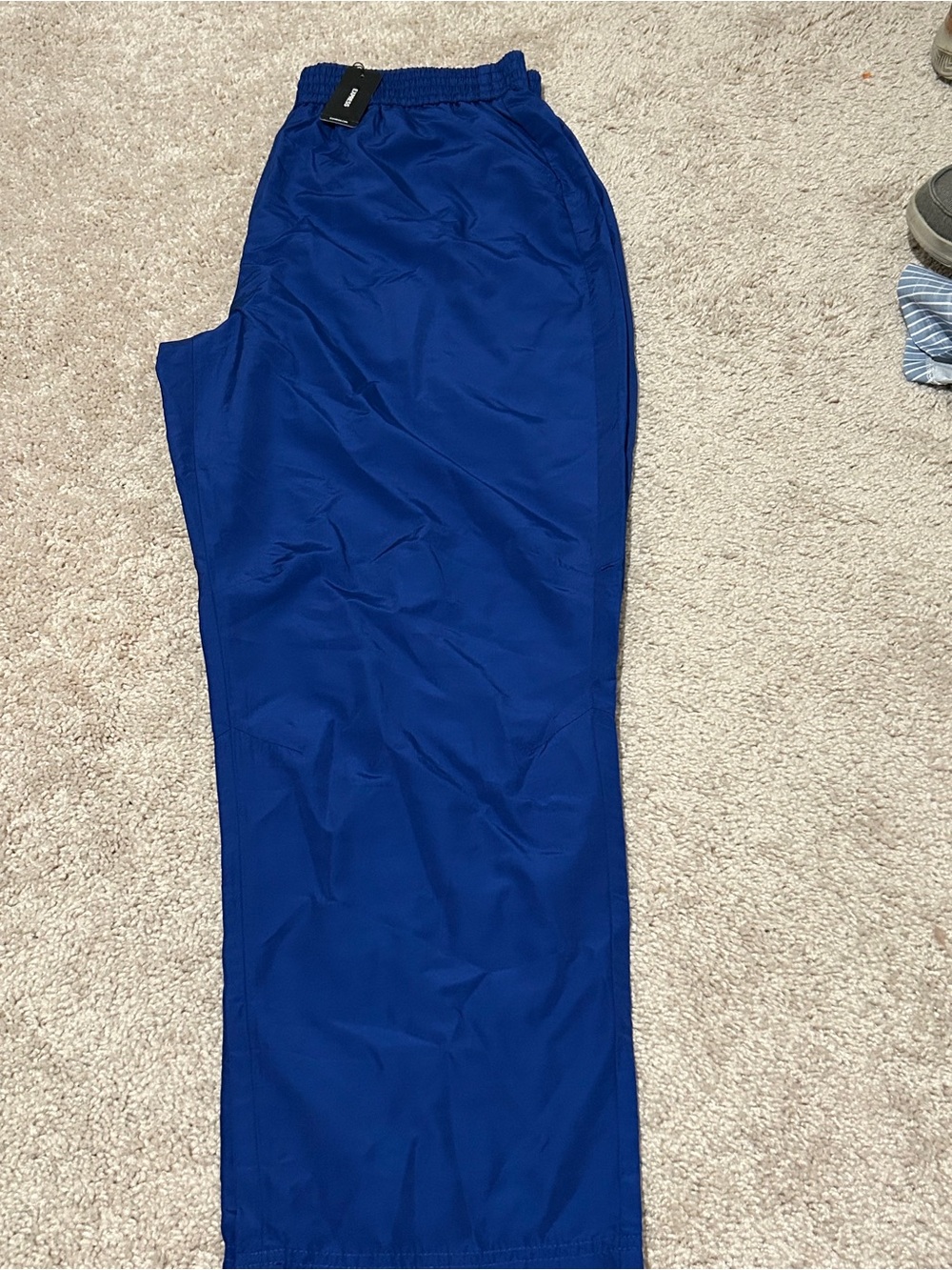 Express Royal Blue Pants